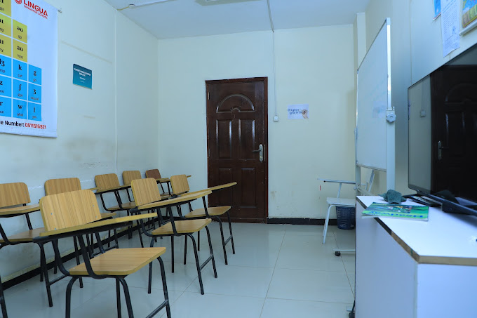 Organization gallery