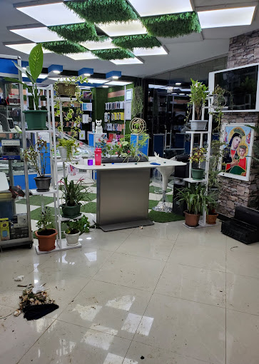 Organization gallery