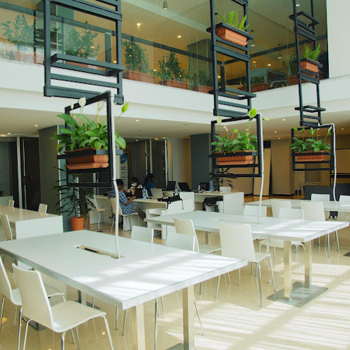Organization gallery