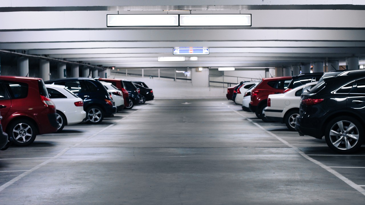 Organization gallery