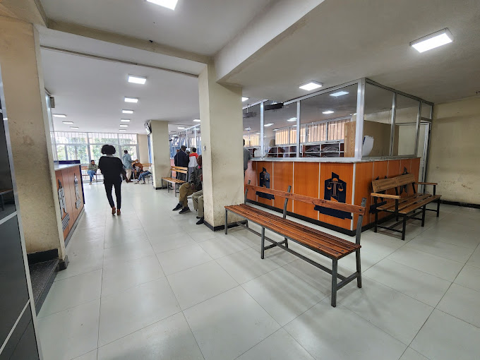 Organization gallery