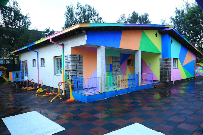 Organization gallery