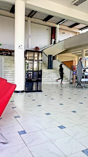 Organization gallery