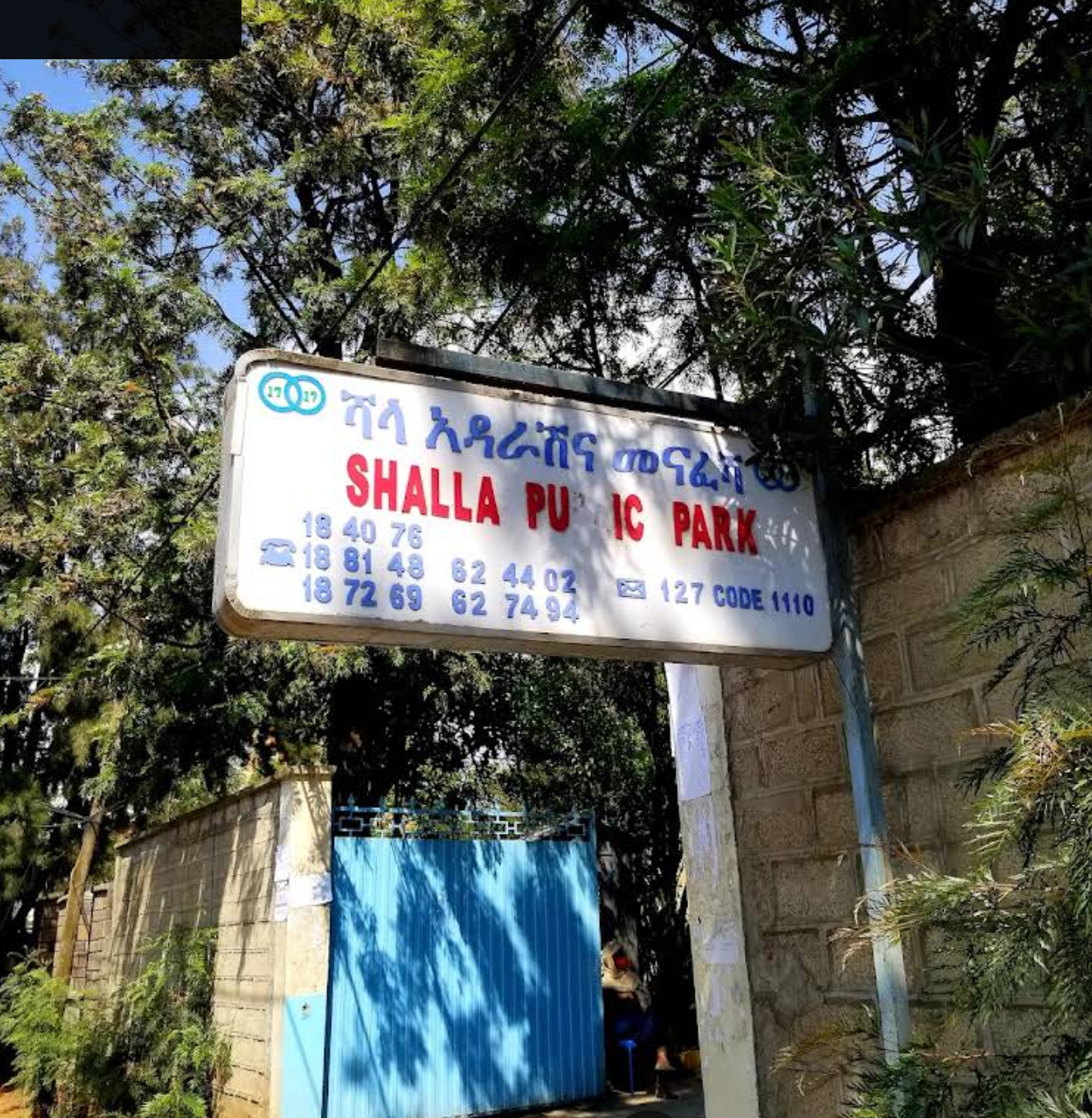 Organization gallery