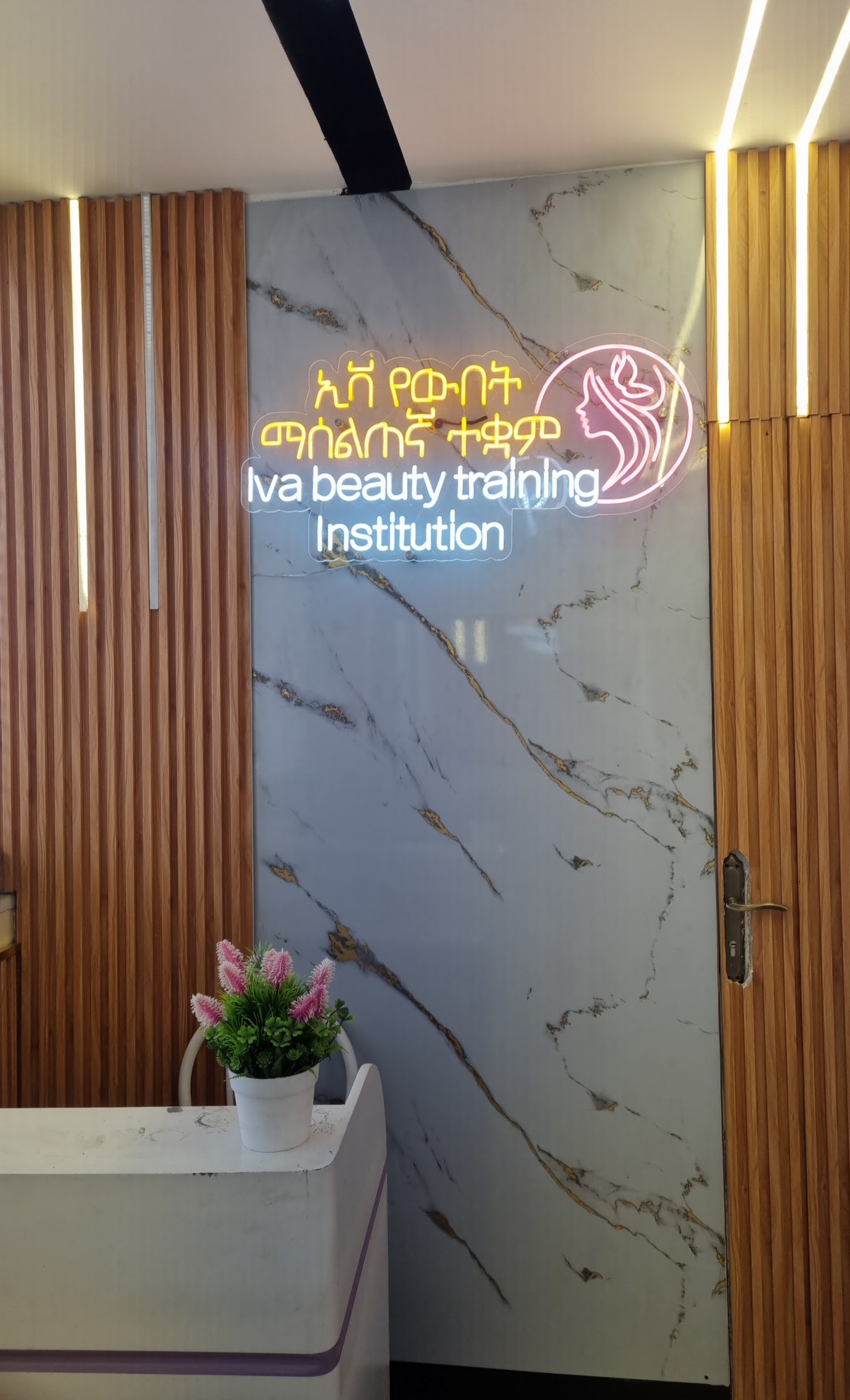 Organization gallery