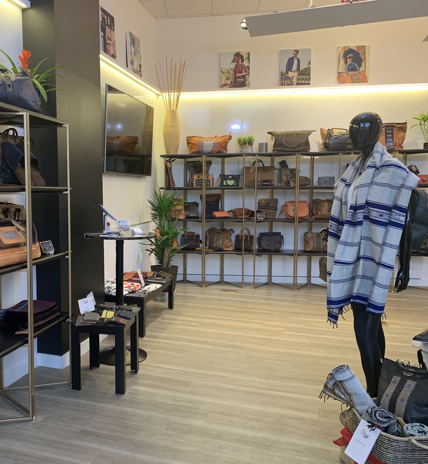 Organization gallery