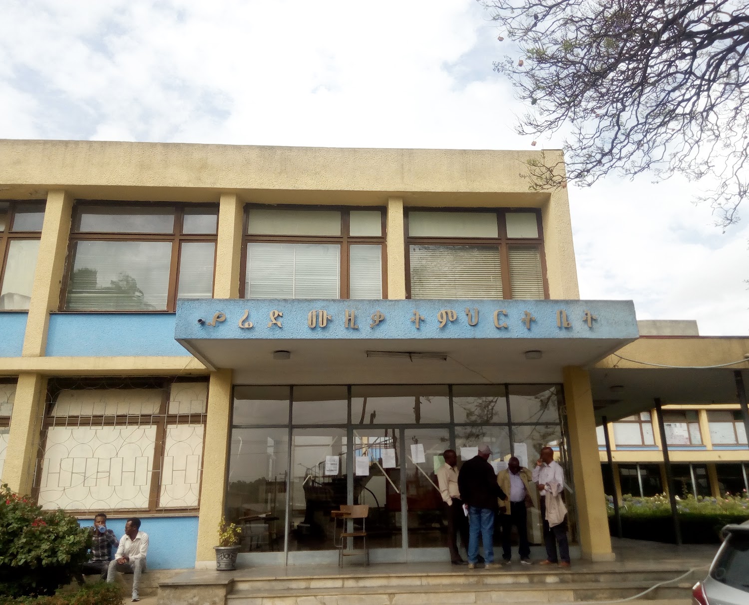 Organization gallery