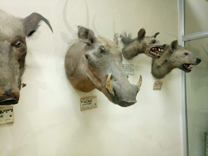 Organization gallery