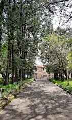 Organization gallery