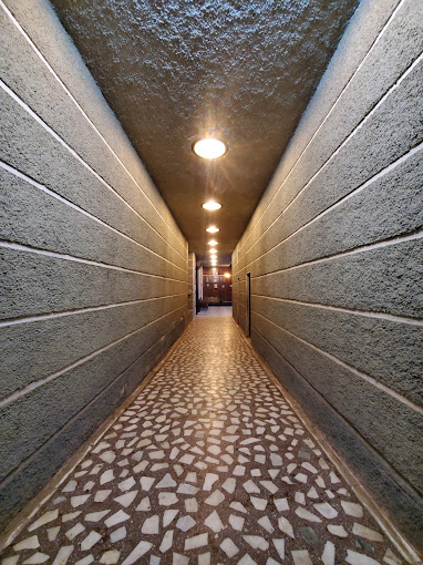 Organization gallery