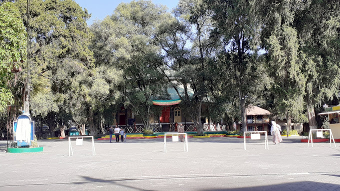 Organization gallery