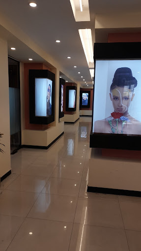 Organization gallery